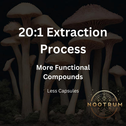 Nootrum Premium Pilzkapseln