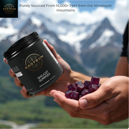 Nootrum Shilajit Gummibärchen